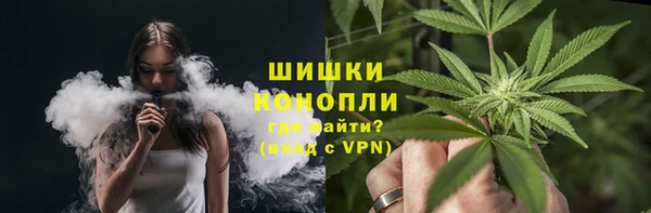 прущие грибы Снежногорск